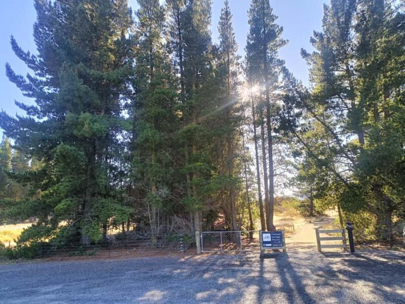 Cromwell: Lake Dunstan Trail Bike Rental and Luxury Shuttle - Practical Details and Considerations