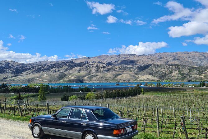 Cromwell Wine Tasting Tour using Classic Car - An In-Depth Look at the Cromwell Classic Car Wine Tour