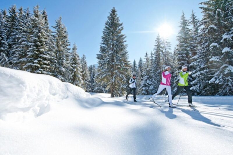 Cross Country Skiing Lessons for Beginners (Feldberg) - Key Points