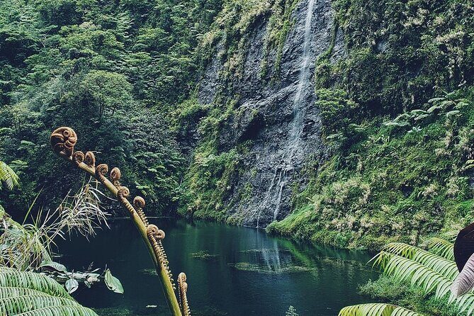 Crossing Over Tahiti Island Safari 4x4 - A Close Look at the Tour Experience