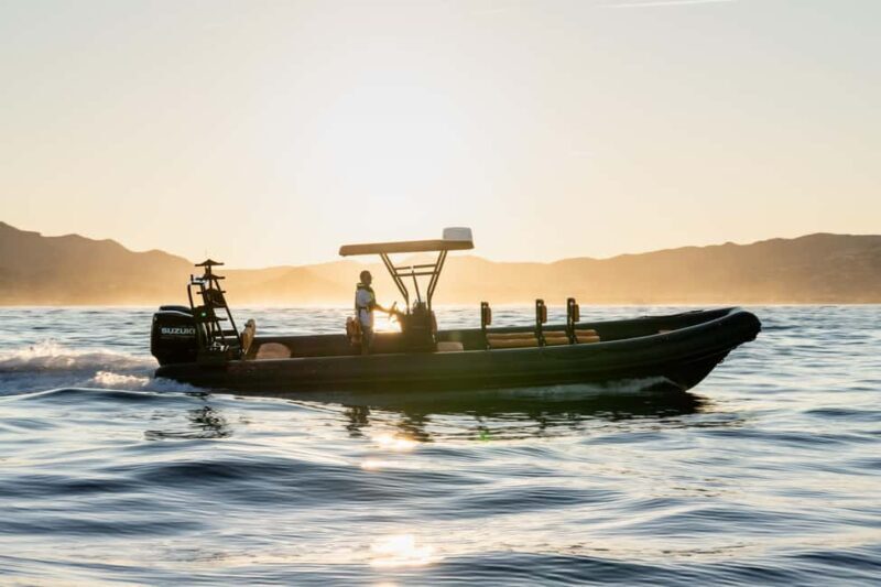 Crozon Peninsula: Boat Trips on the Wild Coast - The Experience in Practice