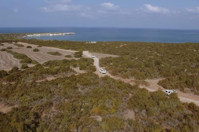 Cruise and 4X4 Safari Tour at Akamas Peninsula from Limassol - Frequently Asked Questions