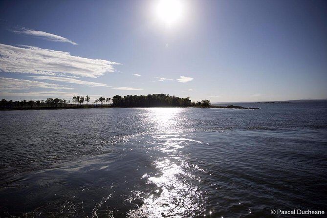 Cruise and Visit of Grosse-Ile - An In-Depth Look at the Tour