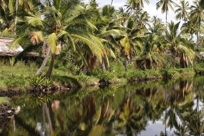 Cruise Ship Shore Excursion: Kauai Movie Sites Tour - Exploring the Kauai Movie Sites Tour