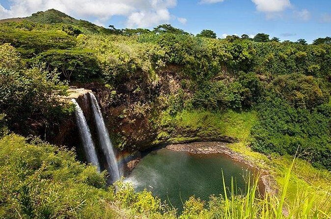 Cruise Ship Shore Excursion: Kauai Movie Sites Tour - What People Love