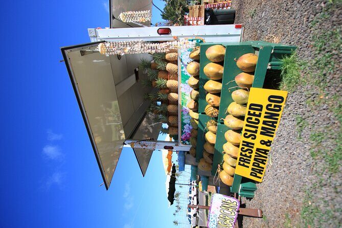 Cruise Ship Shore Excursion: Kauai Movie Sites Tour - Who Will Love This Tour?