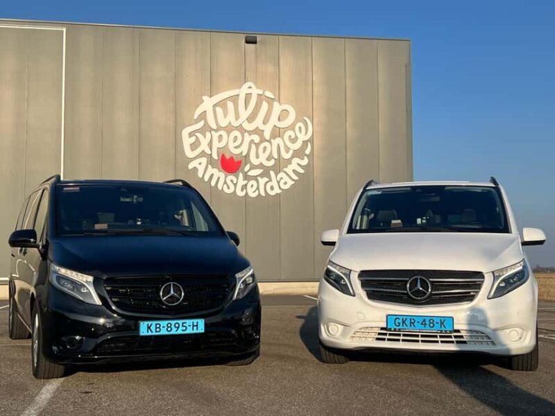 Cruise Terminal Rotterdam: Private Tour by Luxury Van - Who Will Love This Tour?