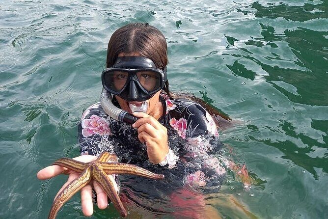 Cruise to Arcos, Colomitos Beaches and Animas - In Closing