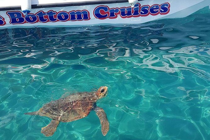 Cruise to turtle's island and caves with a glass bottom boat - Key Points