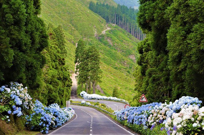 Cruise Travellers: Sete Cidades Volcano, The Blue & Green Lake - Who Should Consider This Tour?