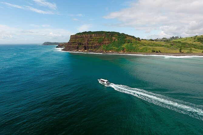 Cruise with Dolphins in Byron Bay - In The Sum Up