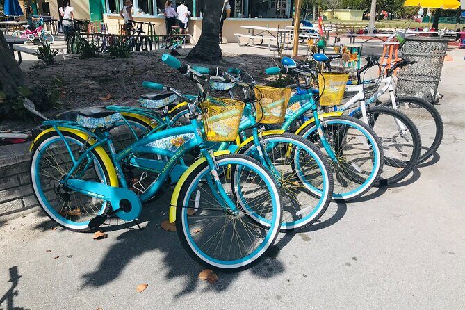Cruiser Bike Rental at Crandon Park - The Experience in Detail