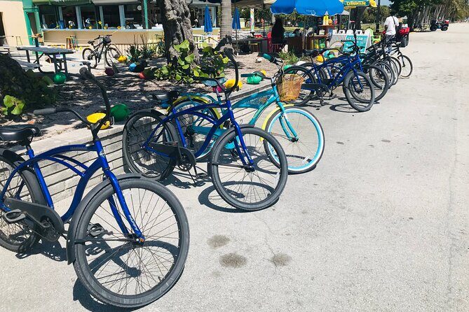 Cruiser Bike Rental at Crandon Park - Pricing and Value