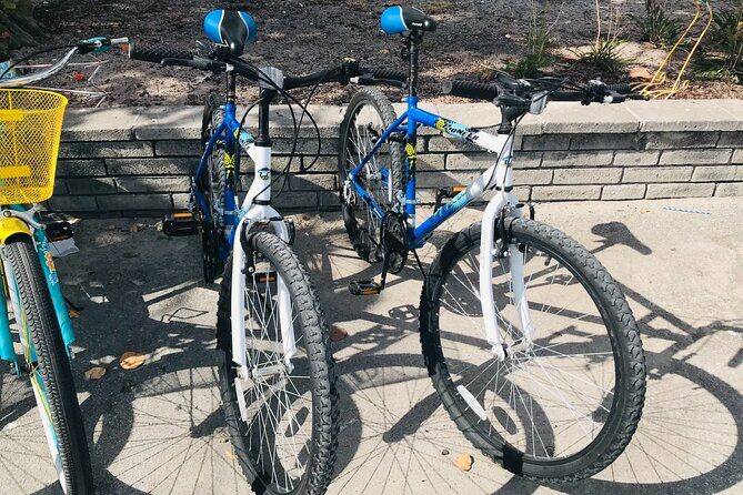 Cruiser Bike Rental at Crandon Park - FAQ