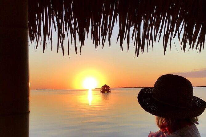 Cruisin' Tikis Key Largo - Sunset Cruise - The Scenery and Marine Life