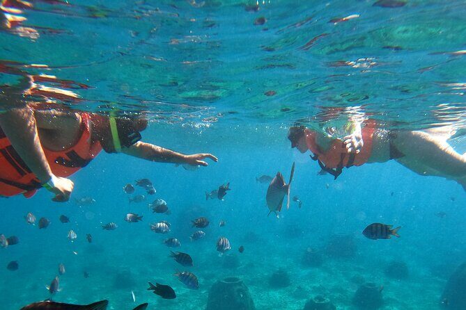 Crystal Boat Tour with Snorkeling and Drinks in Cozumel - Who Will Love This Tour?