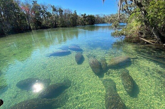 Crystal River Boat and Nature Tour - Final Thoughts