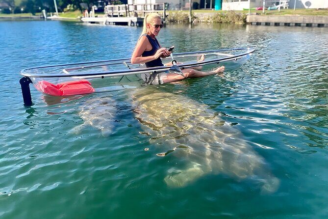 Crystal River: Clear Kayak Manatee Eco Tour (Free Photo Package) - Key Points