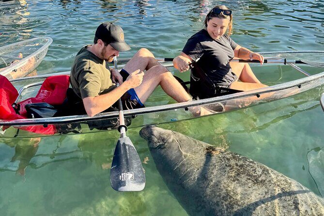 Crystal River: Clear Kayak Manatee Eco Tour (Free Photo Package) - A Closer Look at the Tour Experience
