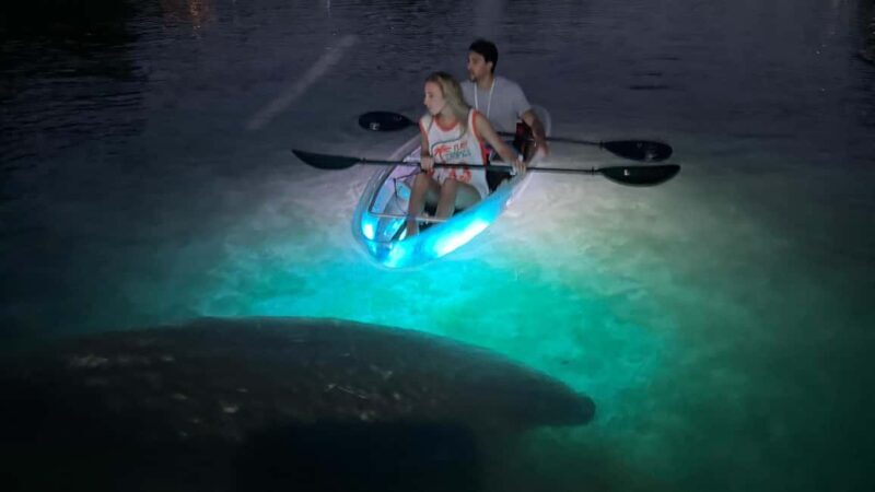 Crystal River: Clear Kayak Sunset & Night Glow Tour - Key Points