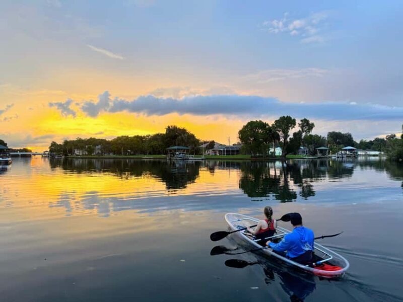 Crystal River: Clear Kayak Sunset & Night Glow Tour - Who Would Love This Tour?