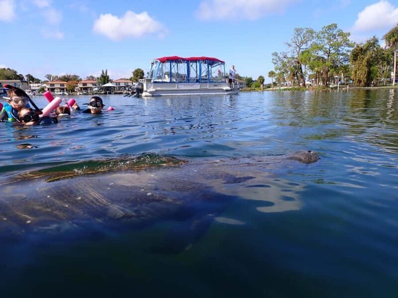 Crystal River: Guided Manatee Snorkeling Tour with Photos - What the Reviews Say
