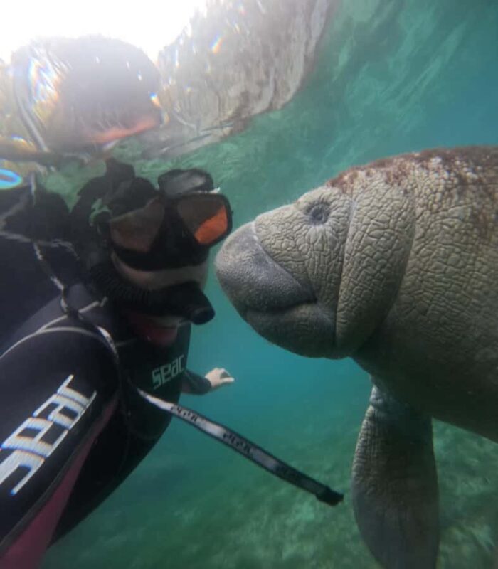 Crystal River: Guided Manatee Snorkeling Tour with Photos - The Sum Up