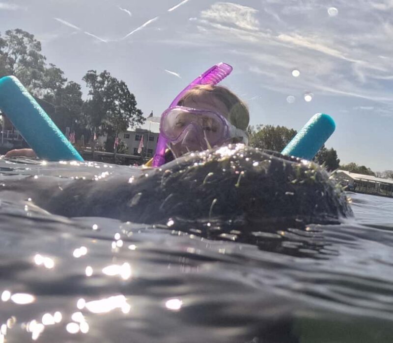 Crystal River: Guided Manatee Snorkeling Tour with Photos - FAQ