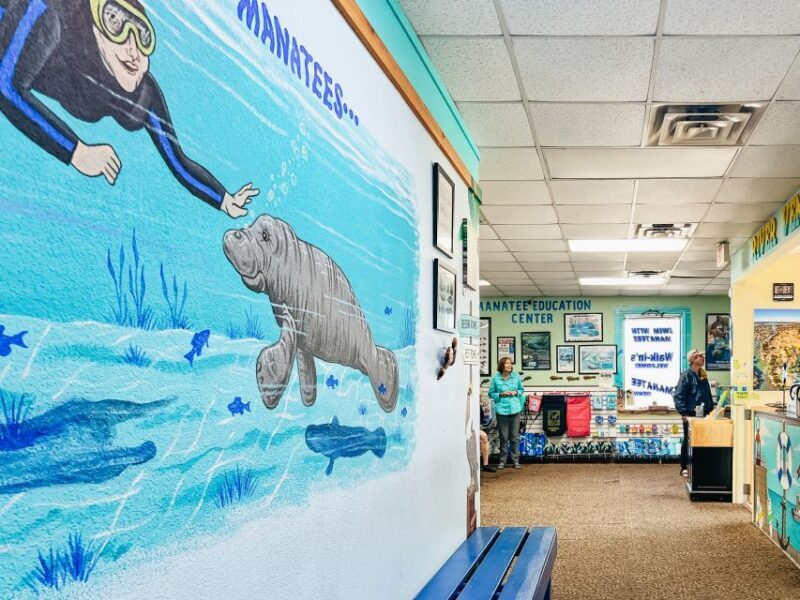 Crystal River: Manatee Snorkel Tour w/ In-Water Photographer - What to Expect and How the Day Unfolds