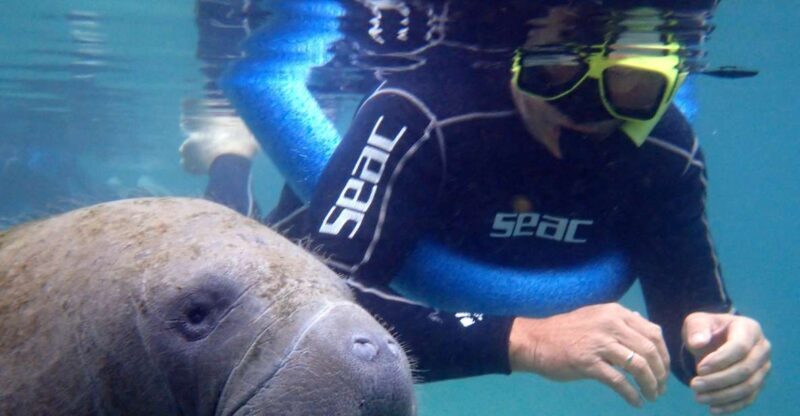 Crystal River: Manatee Snorkel Tour w/ In-Water Photographer - Who Should Consider This Tour?