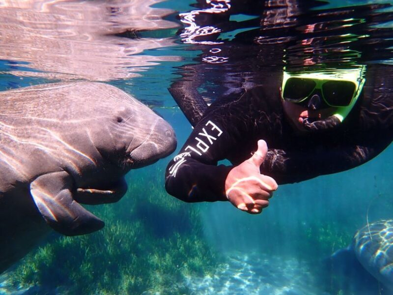 Crystal River: Manatee Swim Group Tour - Who Should Consider This Tour?