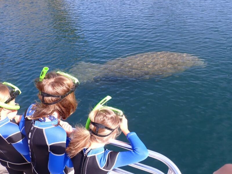 Crystal River: Manatee Swim Group Tour - FAQs