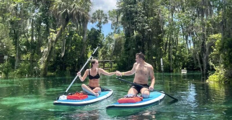 Crystal River: Paddle Board Rental - Discovering Crystal River: Paddle Board Rental – An Honest Look