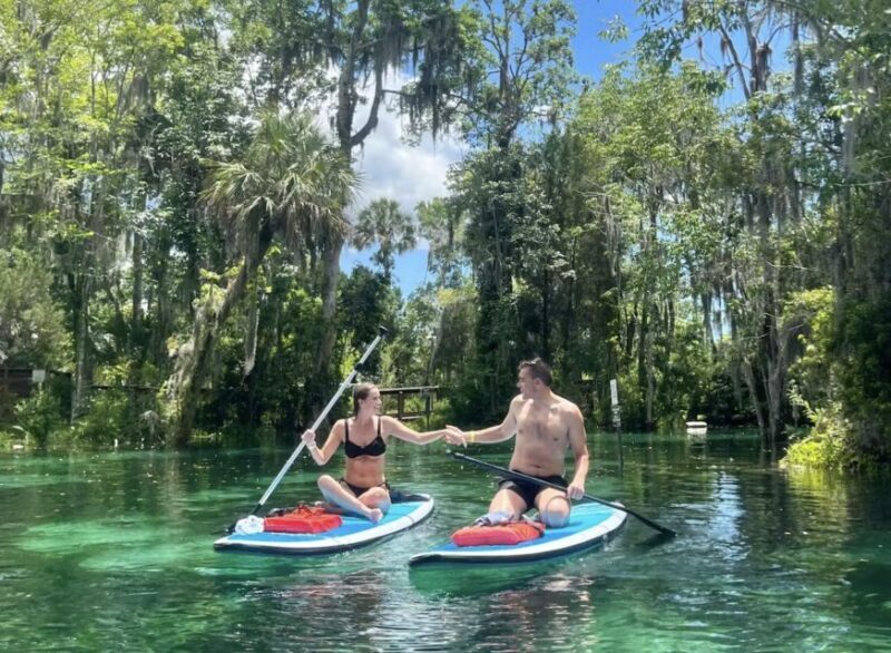 Crystal River: Paddle Board Rental - Final Thoughts: Is It Right for You?
