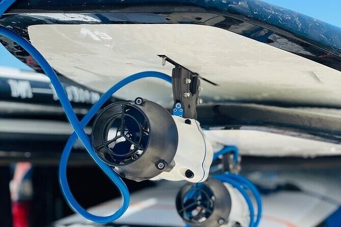 Crystal River Reserve State Park Electric Paddleboard Rentals - An In-Depth Look at the Experience