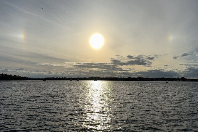 Crystal River Shell Island Adventure - What to Expect from the Tour