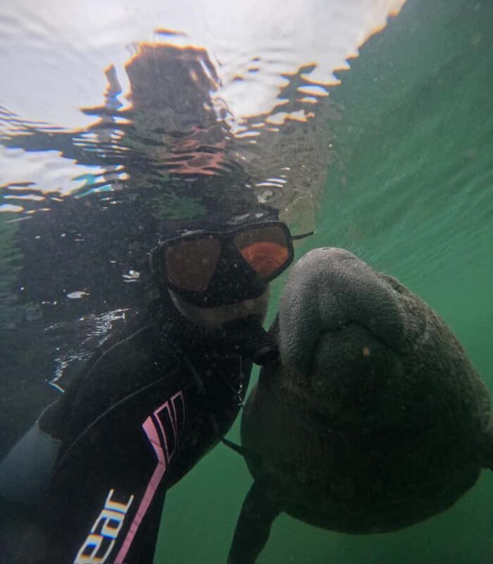 Crystal River: Swim with Manatees Private Tour Free Photos - FAQs