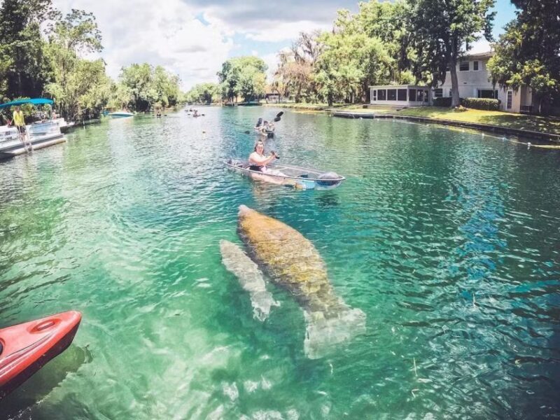 Crystal River: Three Sisters Springs Eco Tour by Clear Kayak - The Sum Up