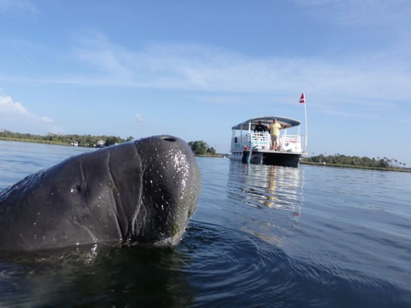 Crystal River: VIP Manatee Swim w/ In-water Photographer - What to Expect on the Tour