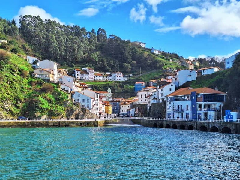Cudillero, Aviles and Faro de Cabo Peñas tour from Oviedo - FAQs