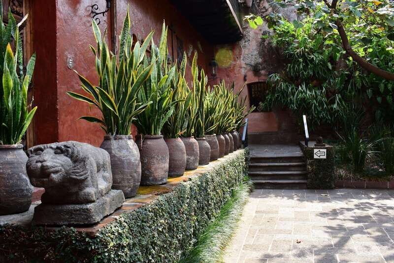 Cuernavaca: Museo Robert Brady Entrance Tickets - What We Love and What Could Be Better