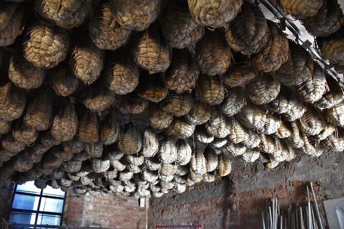 Culatello and Parmigiano: Private half-day tour in Parma - Frequently Asked Questions (FAQ)