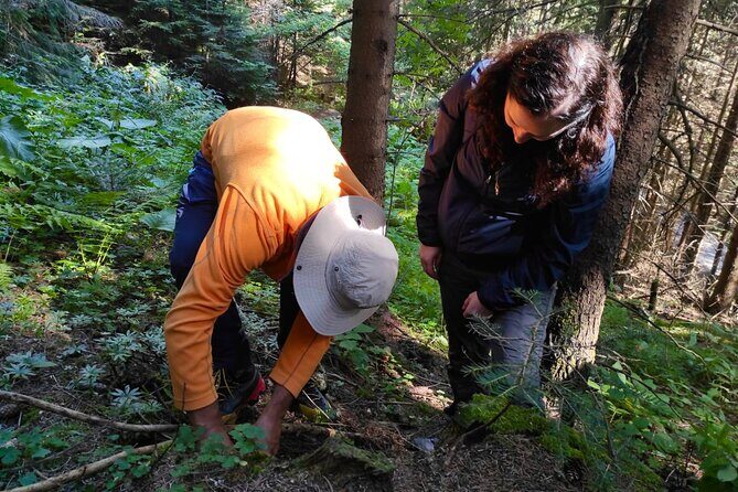 Culinary Adventure To The Fungi And Botanical Kingdom Of Bulgaria - Key Points