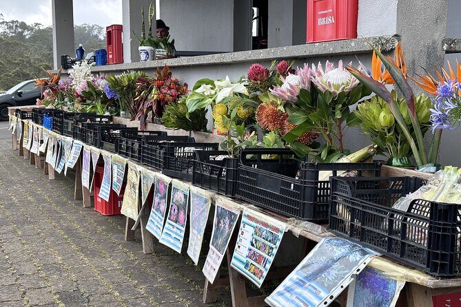 Culinary "Food & (E) Bike" Tour - Key Points