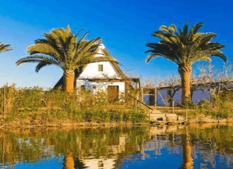 Cullera: History, Beach, and the boat trip to the Albufera - Exploring Cullera’s Historic Heart