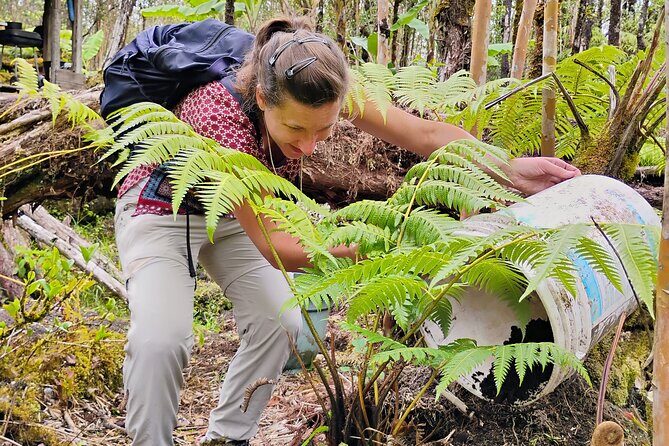Cultivate Hapuu Ferns with Citrus Tea in the Hawaiian Rainforest - Frequently Asked Questions