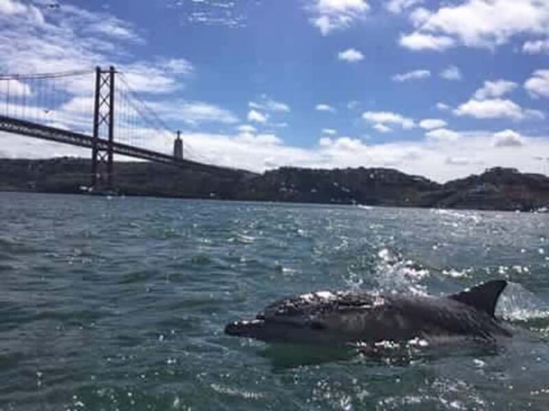 Cultural Sailing Tour in Lisbon - The Value of a Water Perspective