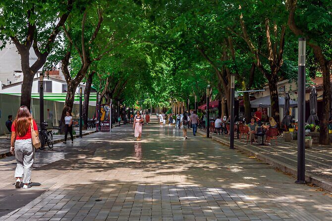 Cultural Tour in Tirana including House of Leaves - The Artistic Legacy: House of Sali Shijaku