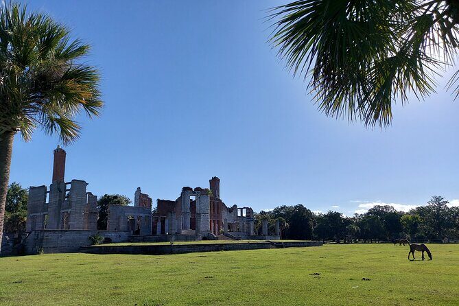 Cumberland Island Walking Tour - What to Expect on the Cumberland Island Walking Tour