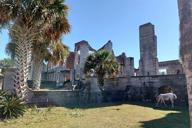 Cumberland Island Walking Tour - Who Will Love This Tour?
